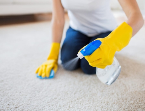 Eco-Friendly Carpet Cleaning Tips
